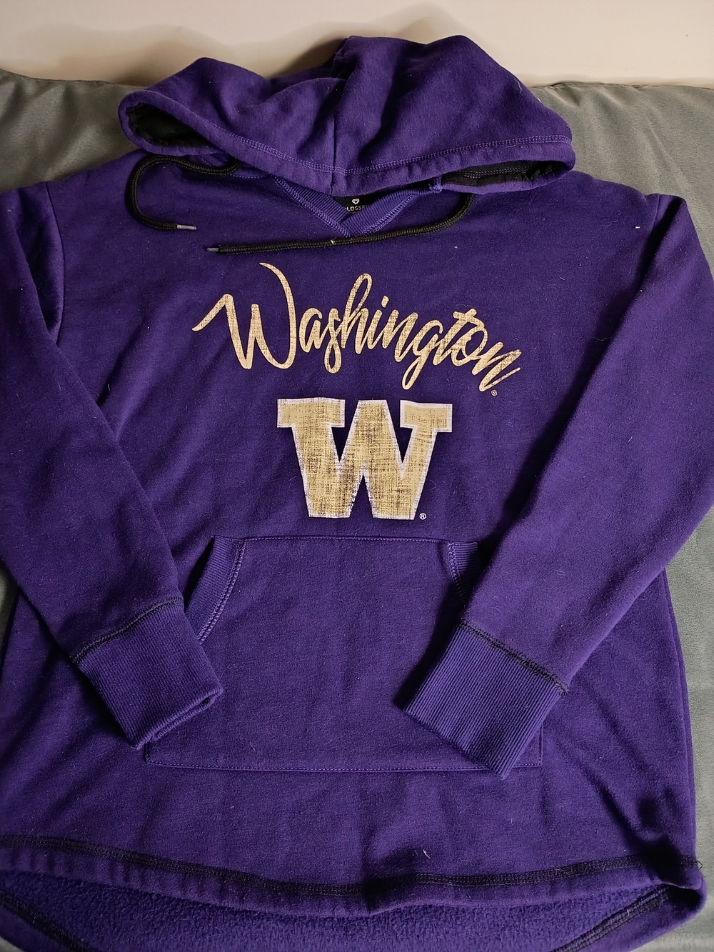 Colosseum Purple Washington Script Hooded Sweatshirt with Gold W